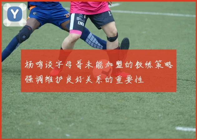 杨鸣谈字母哥未能加盟的教练策略强调维护良好关系的重要性