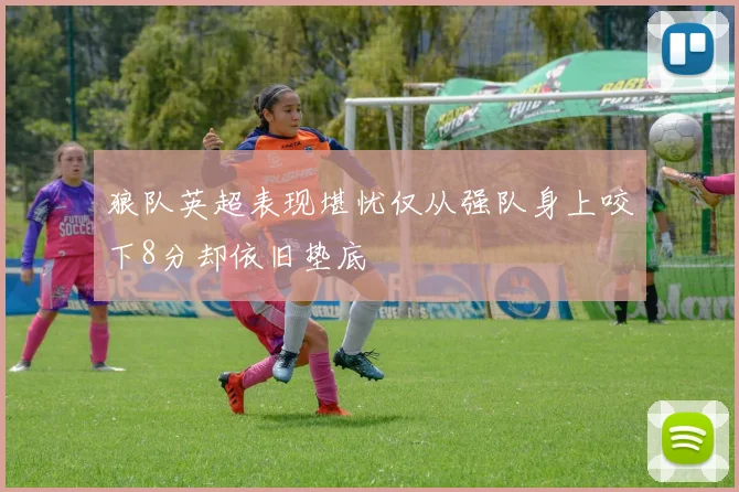 狼队英超表现堪忧仅从强队身上咬下8分却依旧垫底